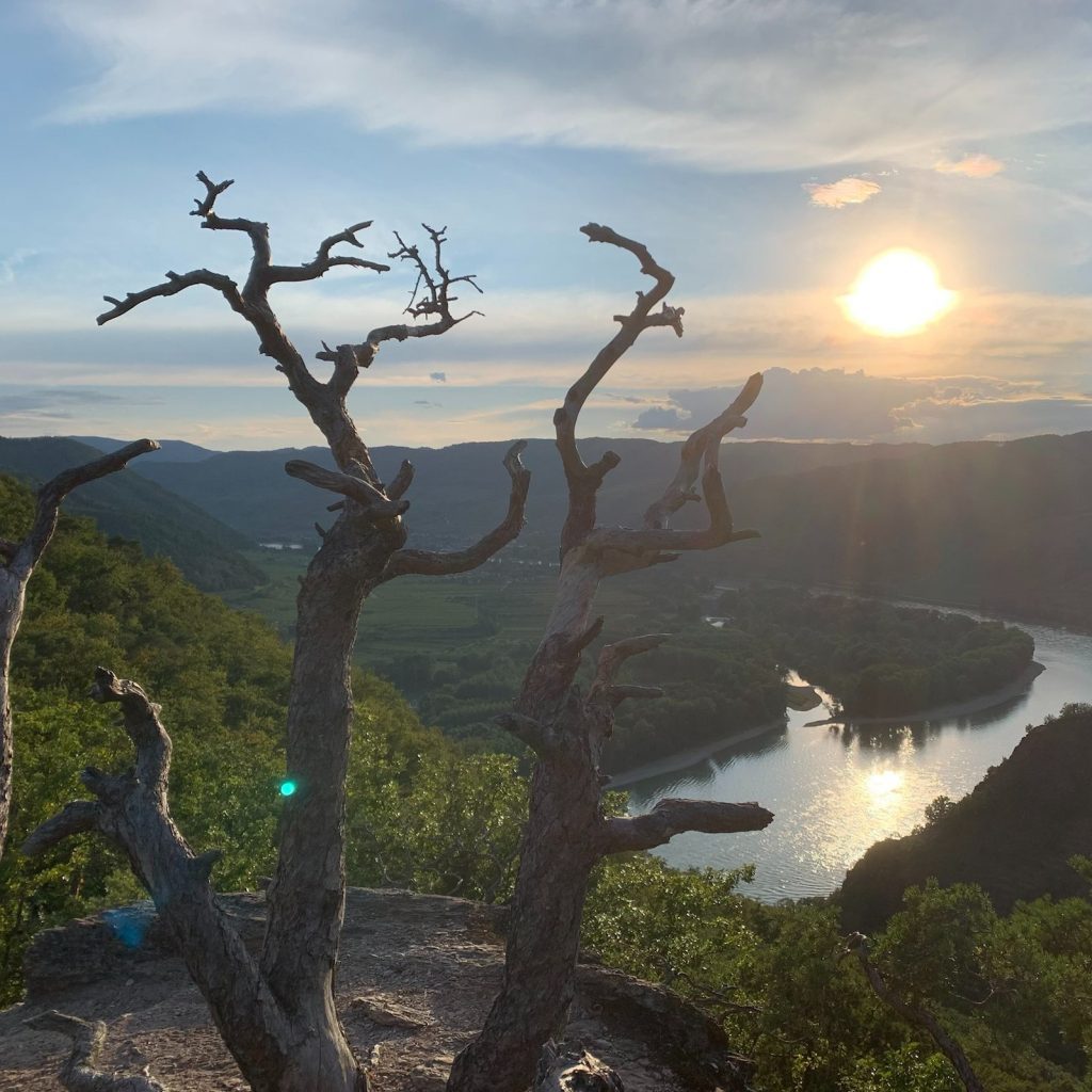 Visions-Wanderung-Dunkelsteiner_Wald-quad